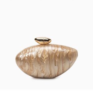 Zariya Acrylic Clutch Bag